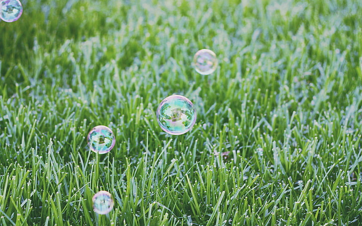 nature, green, bubbles, HD wallpaper