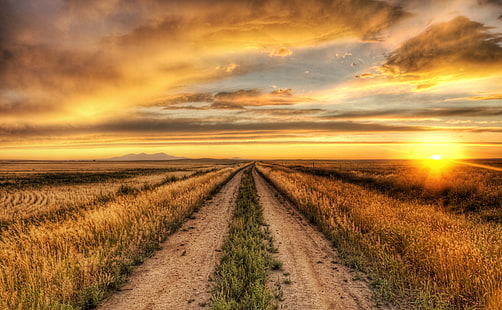 Wiejska droga o zachodzie słońca, brązowe pole trawy, przyroda, krajobraz, zachód słońca, pole, droga, kraj, Tapety HD HD wallpaper
