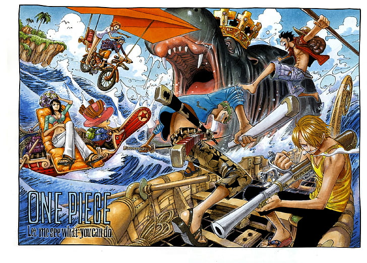 One Piece, Sanji, Roronoa Zoro, Nico Robin, Monkey D. Luffy, Tony Tony Chopper, Usopp, Nami, Sfondo HD