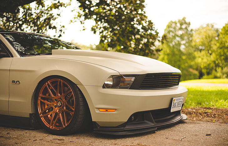white Ford Mustang coupe, white luxury car, muscle cars, Ford Mustang, Shelby, Shelby GT, tuning, car, vehicle, white cars, HD wallpaper