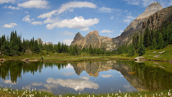 Pond Reflection Trees Mountains HD, green pine trees, nature, trees, mountains, reflection, pond, HD wallpaper