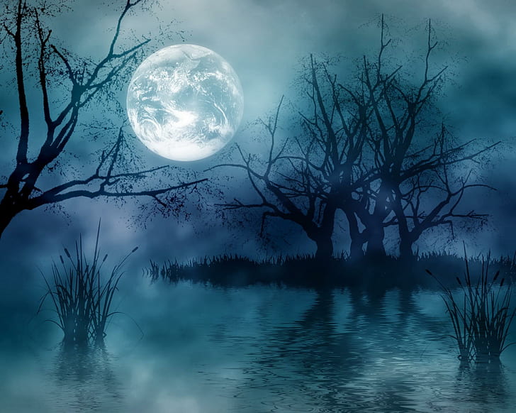 Dark Night With Moonshine, moon, night, eerie, nature and landscapes, HD wallpaper