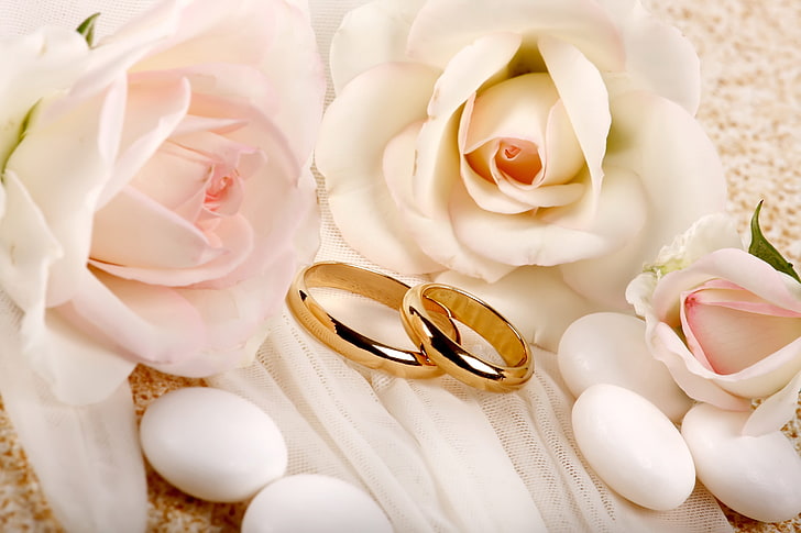 two gold-colored rings, rings, wedding, roses, composition, HD wallpaper