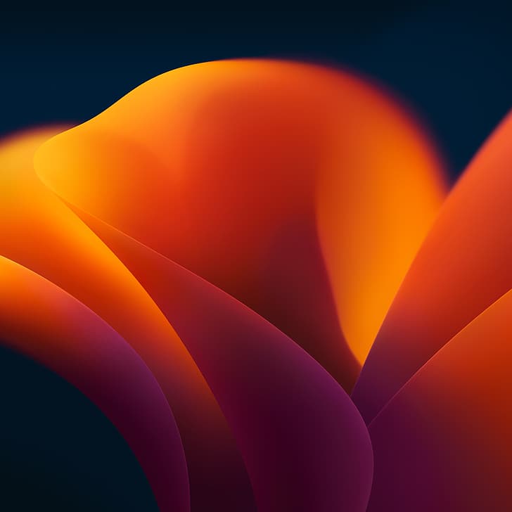Mac OS X, MacOS Ventura, colorato, sfondo arancione, fiori, boccioli, Sfondo HD