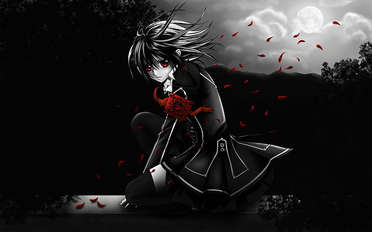 Vampire Knight Series, ilustración de personaje de anime de chica de pelo negro, anime, dibujos animados, Fondo de pantalla HD