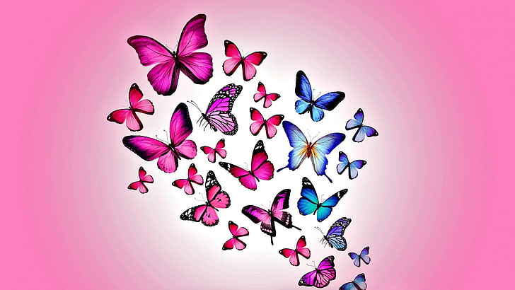 butterflies, butterfly, pink, HD wallpaper