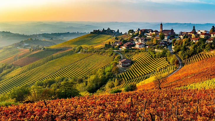 แสง ธรรมชาติ สวย ภูมิทัศน์ ฝรั่งเศส ฤดูใบไม้ร่วง ยุโรป ฤดูใบไม้ผลิ ป่า ภูมิทัศน์ ผล ตอนเช้า การถ่ายภาพ ต้นไม้ ไวน์ ชนบท Vignes Langhe, วอลล์เปเปอร์ HD