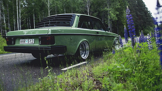 green coupe, Volvo, mobil, jalan, alam, Volvo 240, mobil hijau, muscari, Wallpaper HD HD wallpaper