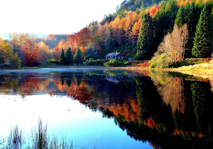 Осенний пейзаж озера, Природа, пейзаж, лес, Осень, деревья, листья, Озеро, HD обои