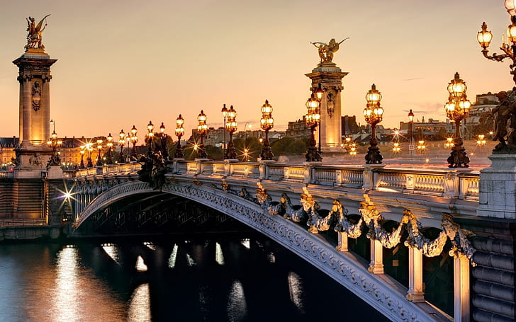 フランスパリ、アレクサンドル3世橋、セーヌ川、街の明かりの夜景、白と黒の橋、フランス、パリ、アレクサンドル、川、都市、ライト、夜、風景、 HDデスクトップの壁紙