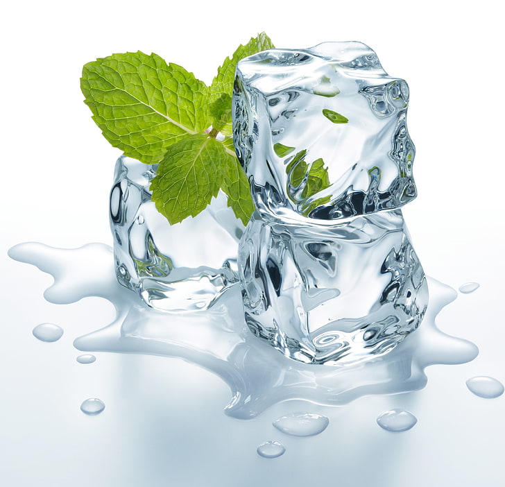 ice cubes and mint leaf, ice, water, leaves, ice cubes, HD wallpaper