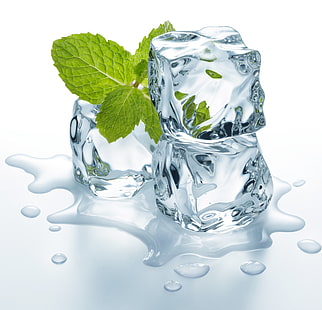 ice cubes and mint leaf, ice, water, leaves, ice cubes, HD wallpaper HD wallpaper