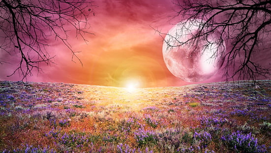 luna, campo, sogno, sogni, tramonto, terra dei sogni, albero, Sfondo HD HD wallpaper