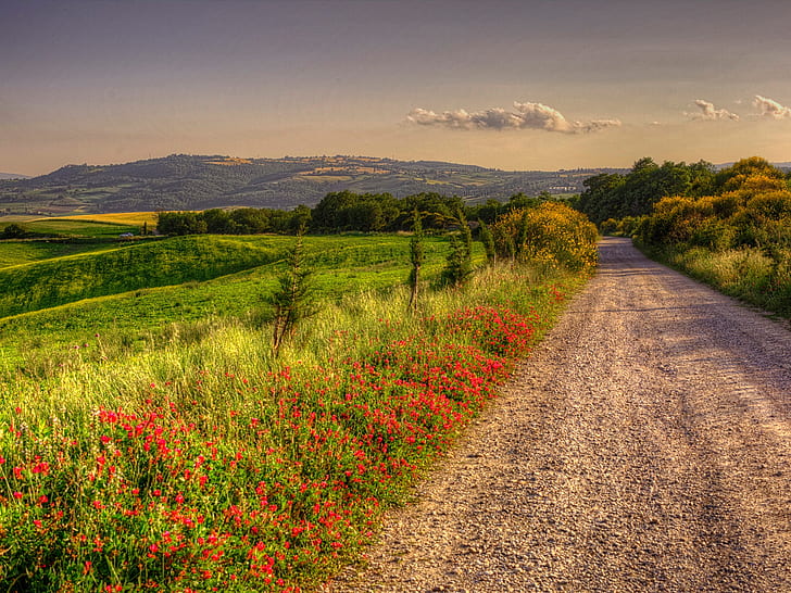 Italy, nature scenery, road, fields, trees, clouds, dusk, red flowers, Italy, Nature, Scenery, Road, Fields, Trees, Clouds, Dusk, HD wallpaper