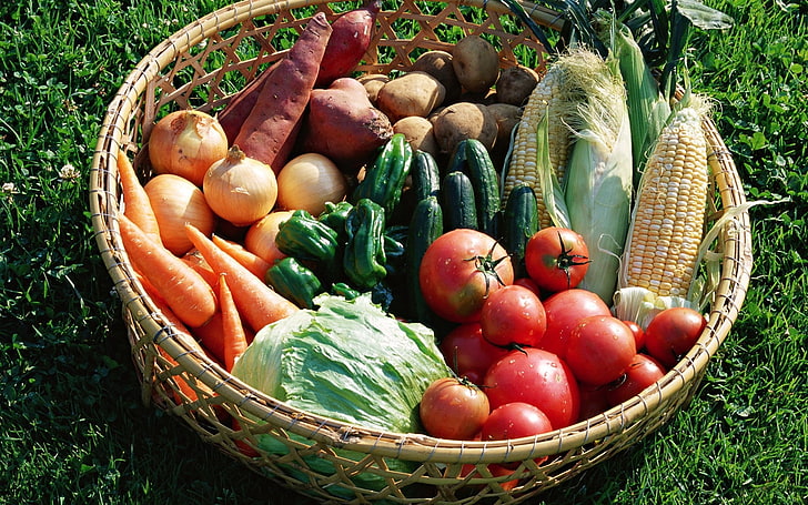 assortiment de légumes, légumes, carottes, maïs, chou, poivre, Fond d'écran HD