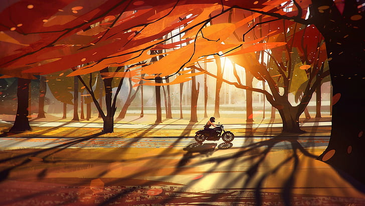 trees, fall, vehicle, Heavy bike, nature, artwork, motorcycle, road, sunset, HD wallpaper