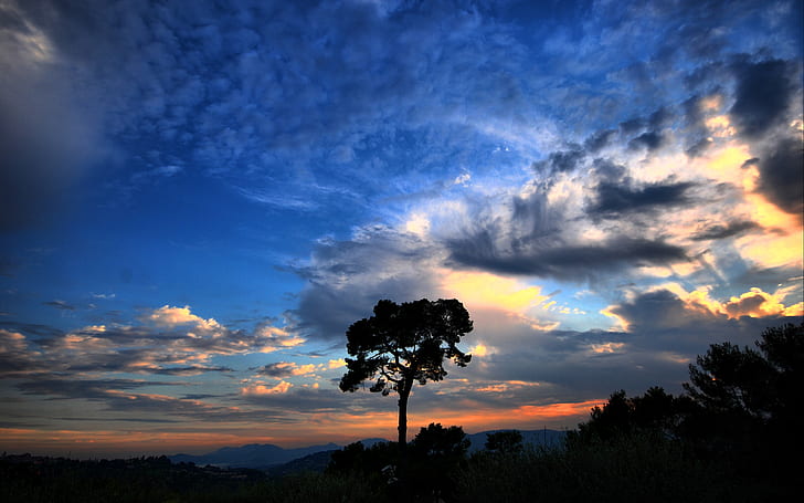 Dramatic sky, silhouette photo of tree, dramatic, HD wallpaper