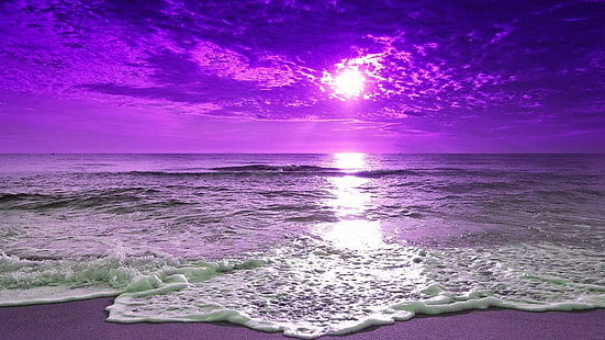 見事な紫の夕日、 HDデスクトップの壁紙 HD wallpaper
