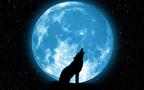 Full moon howl-High quality HD Wallpaper, wolf and moon illustration, HD wallpaper HD wallpaper