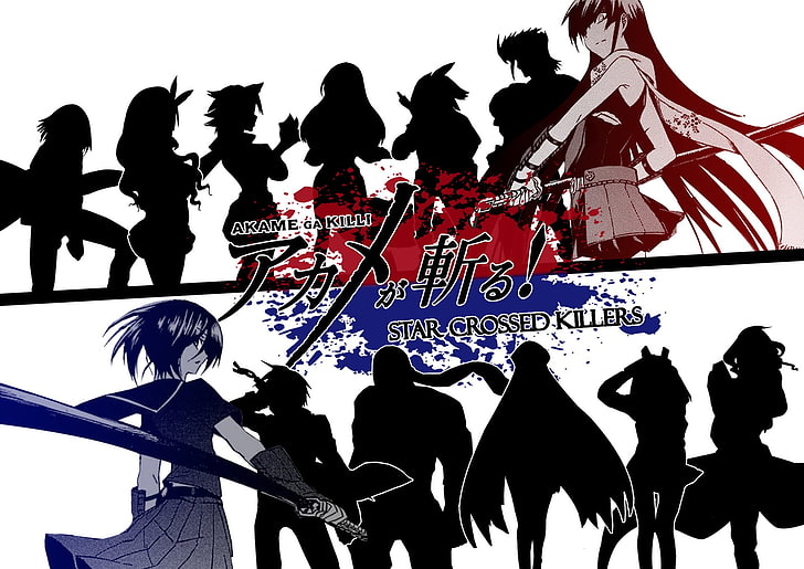 Fond d'écran de Star Crossed Killers, Anime, Akame ga Kill !, Akame (Akame Ga Kill!), Kurome (Akame Ga Kill!), Fond d'écran HD