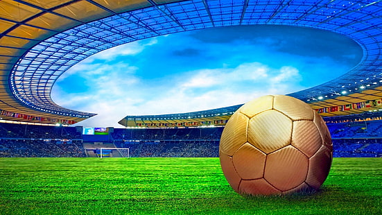 ball, soccer ball, game equipment, football, soccer, equipment, sport, kick, player, team, competition, goal, game, play, championship, grass, field, match, sports, fun, boy, world, child, cup, man, male, playing, people, sphere, leisure, flag, person, active, leather, HD wallpaper HD wallpaper