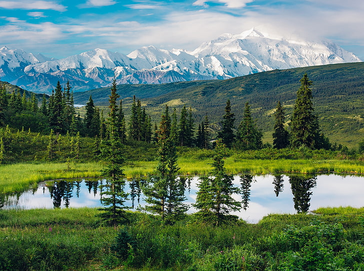 Góry Alaska, piękny krajobraz górski, zielone sosny, natura, krajobraz, góra, podróż, lato, krajobrazy, drzewa, jezioro, scena, góry, Alaska, ameryka, pasmo, spektakularne, wspaniałe, iglaste, cudowne, Denali, użytki zielone , stany zjednoczone, zbocze góry, park narodowy, Tapety HD