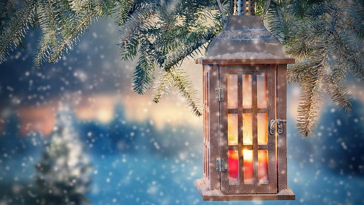 winter, light, snowing, snowfall, tree, fir, lighting, pine, lantern, branch, evening, candlelight, candle, candle light, christmas day, christmas lights, HD wallpaper