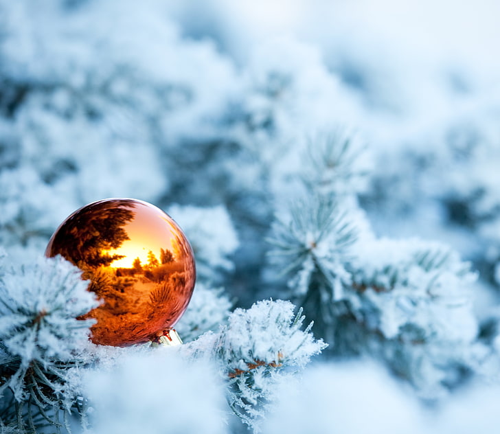 adorno naranja redondo, invierno, nieve, ramas, reflexión, abeto, bola, árbol, juguete navideño, Fondo de pantalla HD