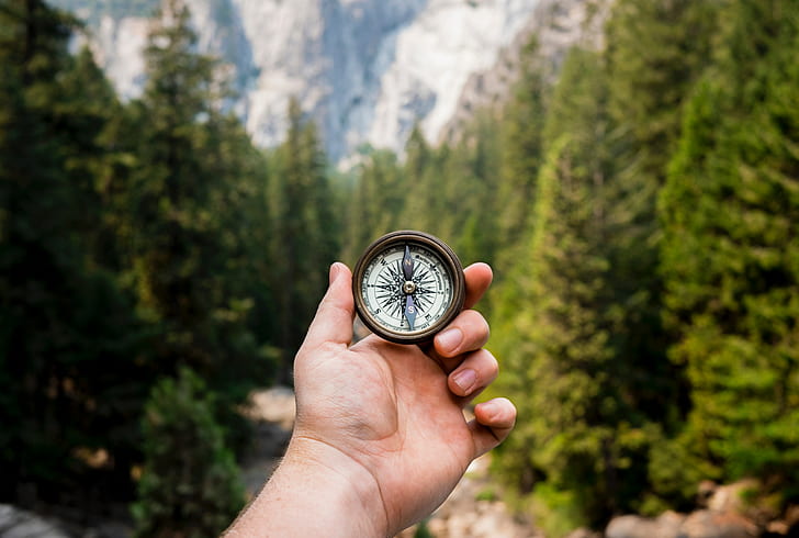 Kompass, Hände, Schärfentiefe, Bäume, Reisender, HD-Hintergrundbild