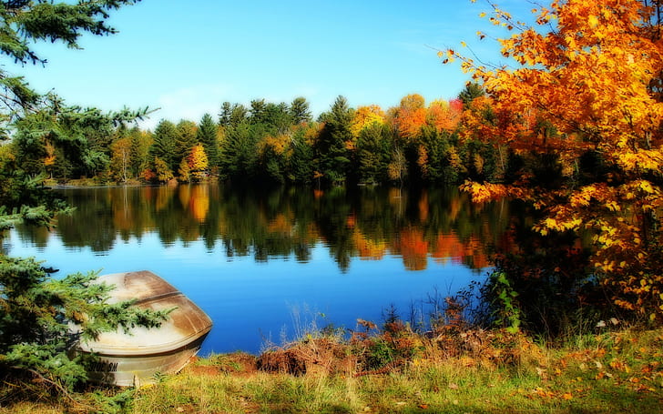 Lake and trees of the beautiful fall, photo of green lake beside trees, Lake, Trees, Beautiful, Fall, HD wallpaper