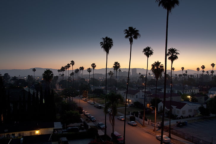 drzewa kokosowe, wibracje, palmy, Los Angeles, pejzaż miejski, wschód słońca, Tapety HD