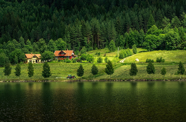 коричневая и черная деревянная отделка стен, деревья, озеро, домик, дача, пейзаж, HD обои