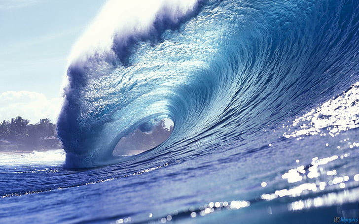 Surfing Wave, vågor, natur, surf, hav, natur och landskap, HD tapet