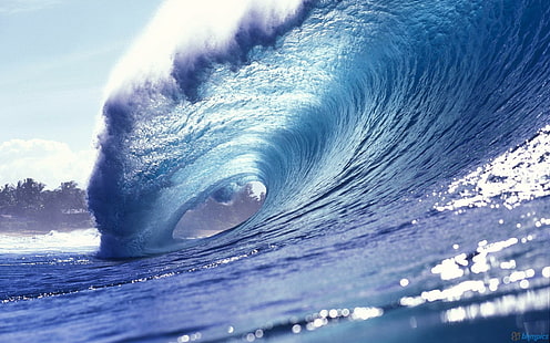 サーフィンの波、波、自然、波、海、自然、風景、 HDデスクトップの壁紙 HD wallpaper