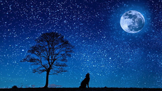 full moon, moon, starry night, night, night sky, stars, starry, tree, wolf, roar, lone tree, lonely tree, moonlight, HD wallpaper HD wallpaper