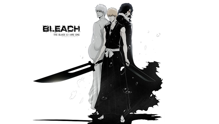 Bleach poster, bleach, kurosaki ichigo, empty, swords, HD wallpaper