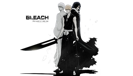 Bleach affisch, blekmedel, kurosaki ichigo, tom, svärd, HD tapet HD wallpaper