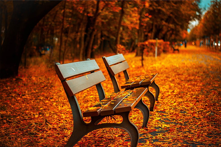 коричневая деревянная скамья, две коричневые деревянные реечные скамейки, осень, скамейка, листья, глубина резкости, деревья, HDR, природа, HD обои