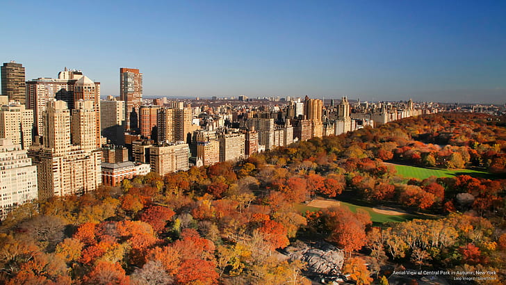 Aerial View of Central Park in Autumn, New York, Fall, HD wallpaper