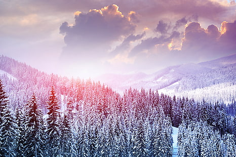 gröna tallar, landskap, vinter, snö, träd, berg, skog, himmel, moln, HD tapet HD wallpaper