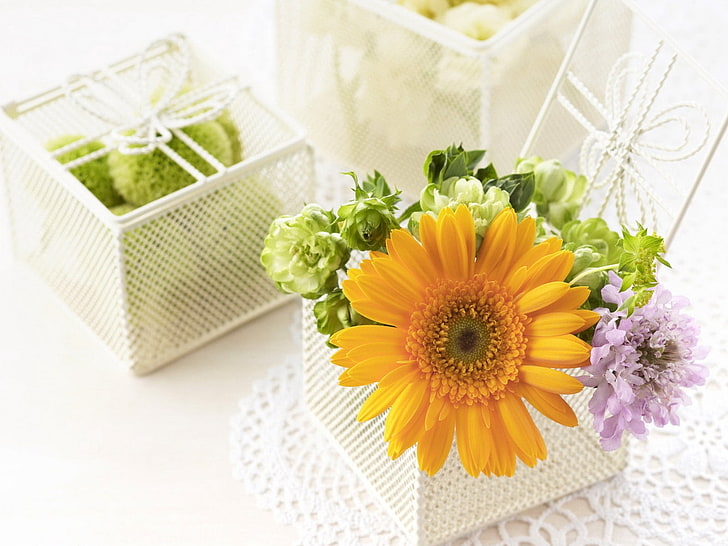 yellow daisy flower, gerbera, flowers, boxes, gift, cloth, HD wallpaper