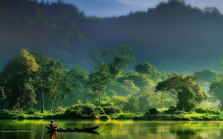 zielone drzewo liściaste, przyroda, krajobraz, mgła, las, rzeka, góry, Indonezja, zieleń, łódka, rybak, Tapety HD