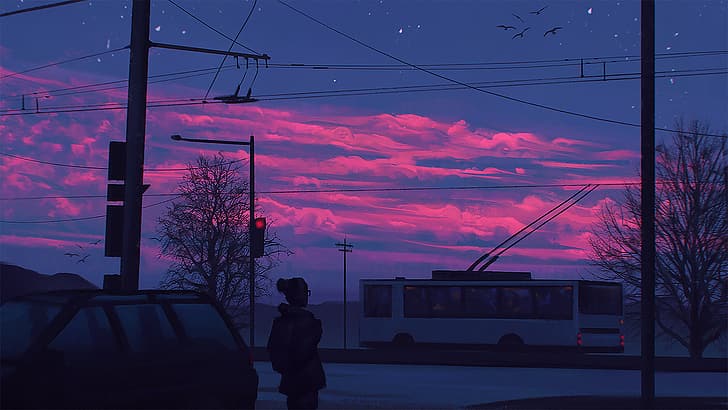 Angel Ganev, cielo viola, cielo rosso, linee elettriche, crepuscolo, berretto, autobus, silhouette, alberi, Sfondo HD