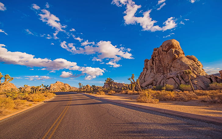 Taman Nasional Joshua Tree, Desert Road, adalah kawasan lindung di California Selatan dengan formasi batuan yang kasar dan lanskap gurun yang mencolok, California, Amerika Serikat, Wallpaper Hd, 1920 × 1200, Wallpaper HD