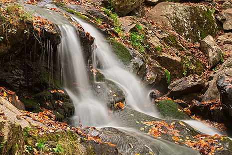 photo of a waterfall, Dark Hollow, Falls, HDR, photo, waterfall, dark  hollow, waterscape, water, fluid  flow, stream, foliage, leaves, landscape, nature, scene, scenic, scenery, background, rocks, lush, organic, fresh, shenandoah  national  park, usa, united  states, american  beauty, beautiful, travel, tourism, long  exposure, motion, movement, smooth, soft, orange, white, colorful, vivid  color, colors, colour, colours, fall, autumn, stock, resource, image, picture, ca, river, forest, outdoors, rock - Object, falling, scenics, HD wallpaper HD wallpaper