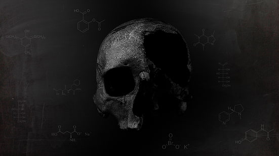 gri ve siyah kafatası poster, gri kafatası duvar kağıdı, kafatası, kimya, karanlık, ölüm, dijital sanat, formül, bilim, HD masaüstü duvar kağıdı HD wallpaper