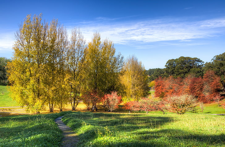 autumn, the sky, grass, the sun, clouds, trees, Park, Australia, path, the bushes, Mount Lofty Botanic Garden, HD wallpaper