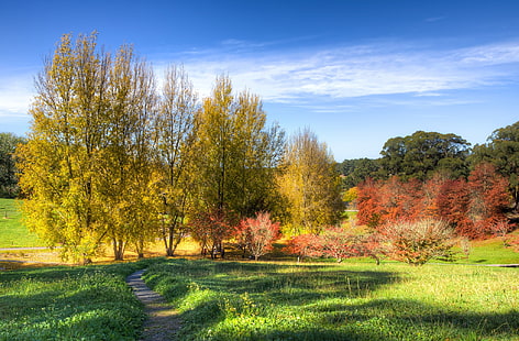 autumn, the sky, grass, the sun, clouds, trees, Park, Australia, path, the bushes, Mount Lofty Botanic Garden, HD wallpaper HD wallpaper