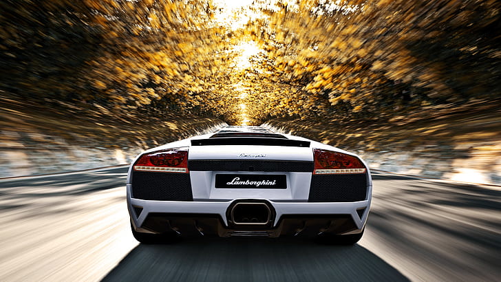 route, automne, soleil, arbres, vitesse, Lamborghini, blanc, murcielago, lp640, murciélago, Fond d'écran HD