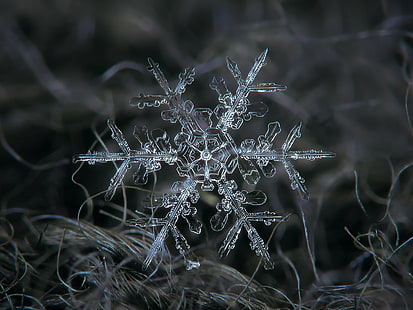 snow flakes, Stellar, dendrite, March, explore, flakes, snowflake, snow  crystal, ice, photo, macro, closeup, season, christmas, cold, frost, pattern, structure, weather, seasonal, nature, natural, real, outdoors, outdoor, ornament, icy, inspirational, photograph, ze, frozen, symbol, decor, decoration, decorative, abstract, background, beautiful, beauty, snowfall, unique, symmetry, design, shape, fragile, light, alexey, chdk, transparent, star, sparkling, rare, geometric, blue, dark, tangled, pair, cyan, ornate, elegant, complex, DOF, winter, backgrounds, HD wallpaper HD wallpaper